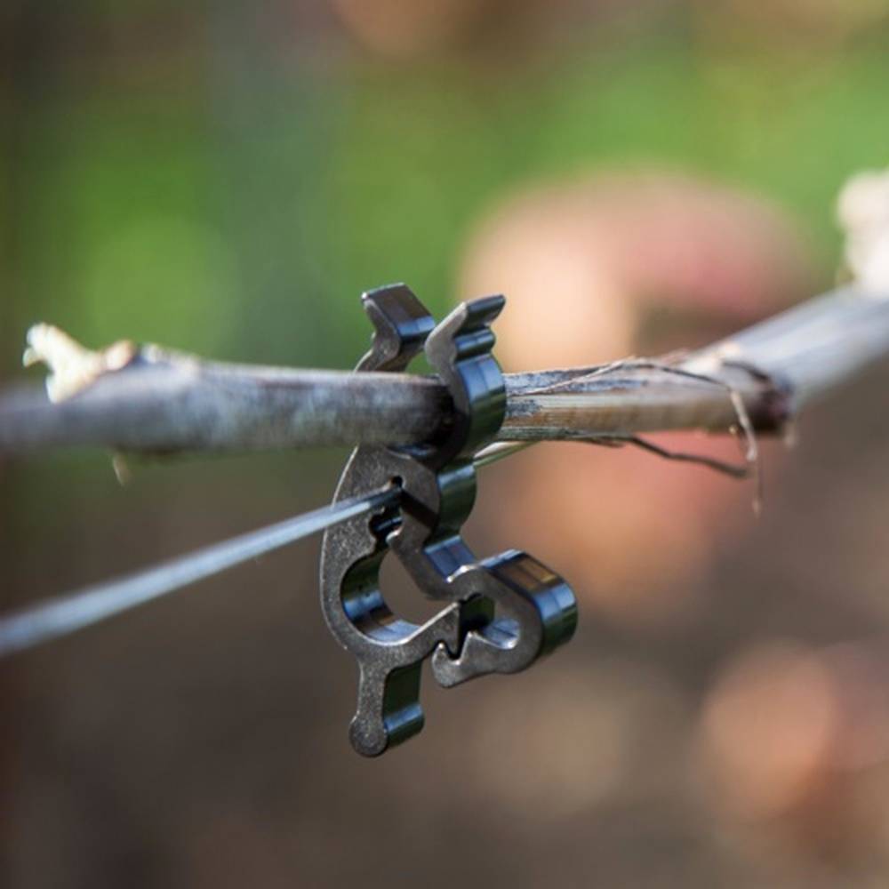 Crochets de fils de fer pour vignobles : l'impo...