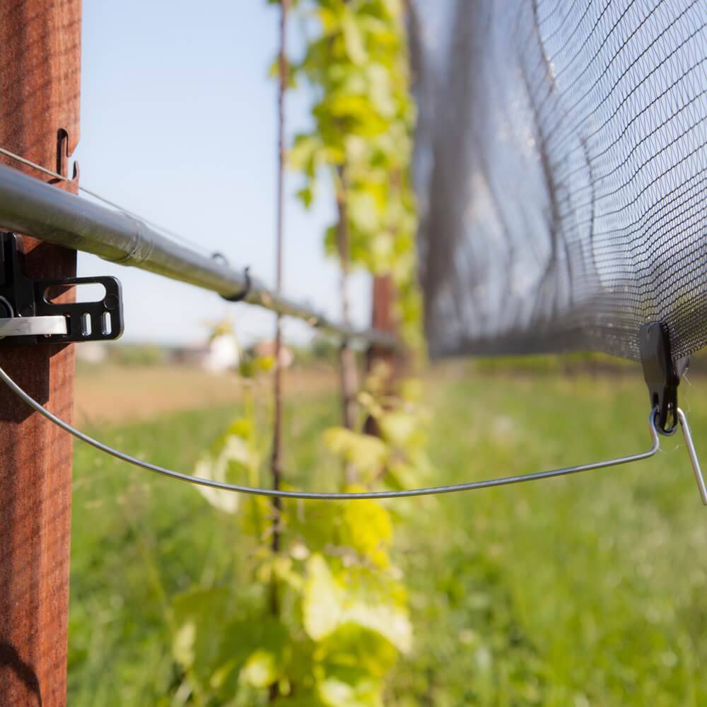 Anti-hail tensioning systems for vineyards: pro...