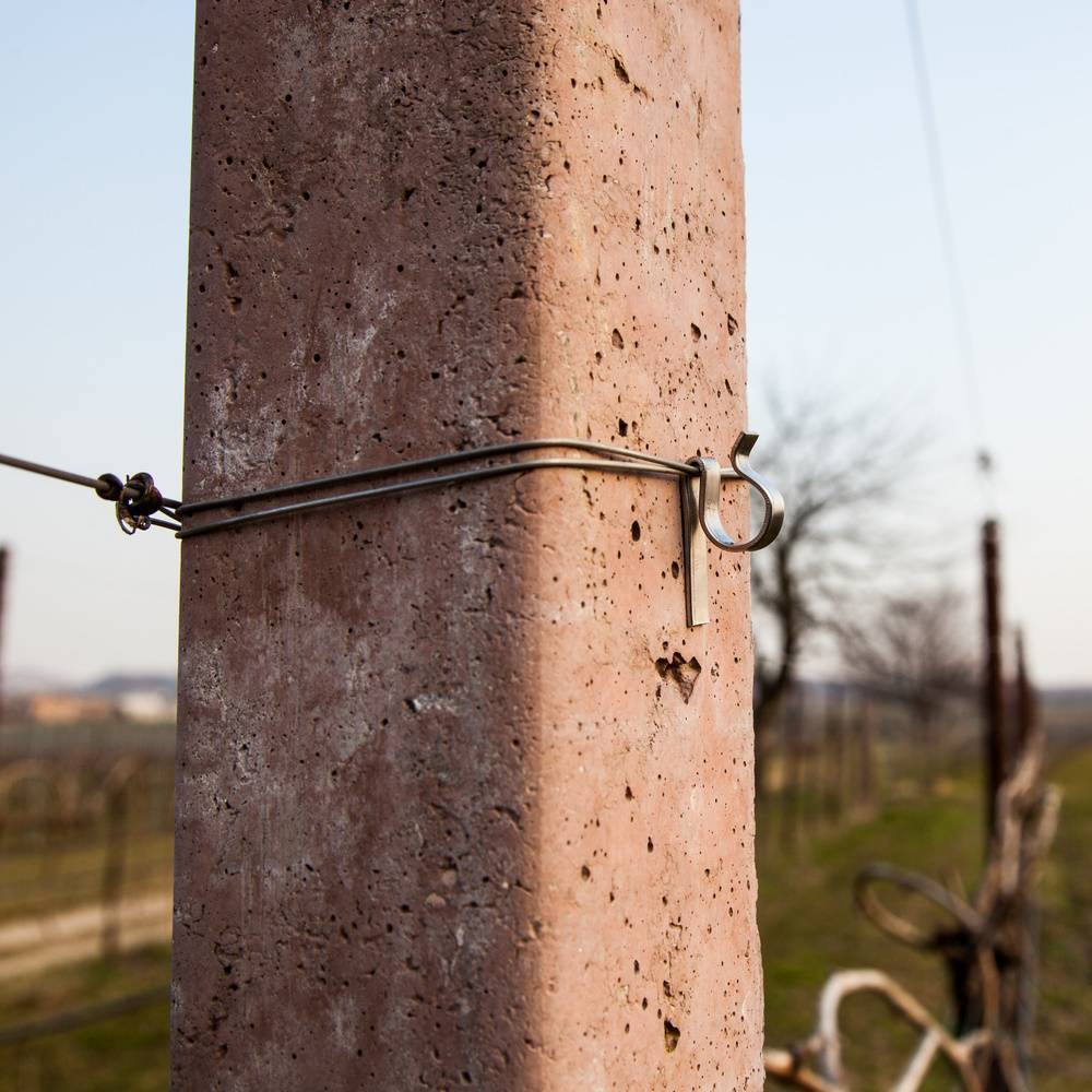 Ganci per i vigneti: guida completa alla scelta...