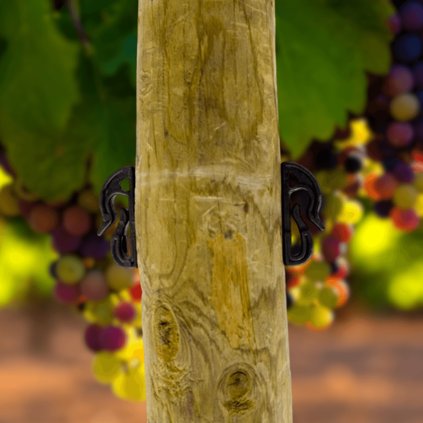 S Plastic hook for vineyards
