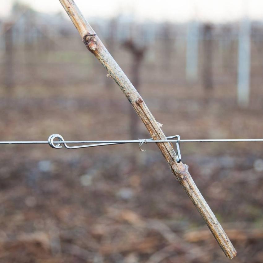 Trellis clip for anti-release