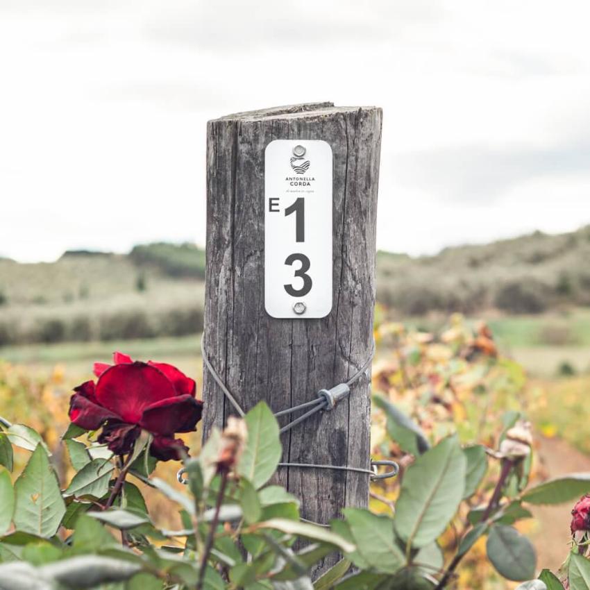 Numbered tags for vineyard poles "Grapes"